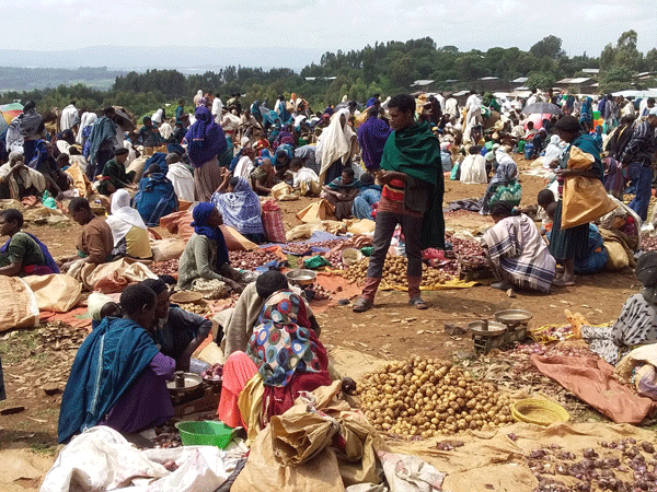 UN Issues Urgent Warning as Ethiopia Teeters on the Edge of Famine