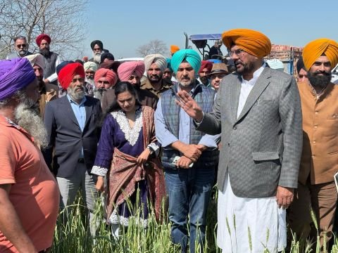 किसानों को अगली फसल की बुवाई के लिए मक्का और मूंग के बीज सब्सिडी पर दिए जाएंगे – धालीवाल