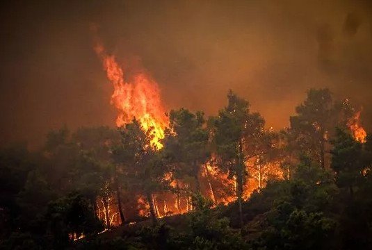 When the Sky Turns to Dust: Israel Battles Sandstorms, Wildfires, and Climate Extremes on Its Independence Day