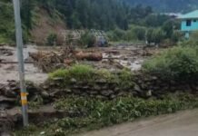 पंजाब में 24 घंटे का मौसम अलर्ट, कई जिलों में बारिश, ओलावृष्टि और तेज हवाओं की चेतावनी