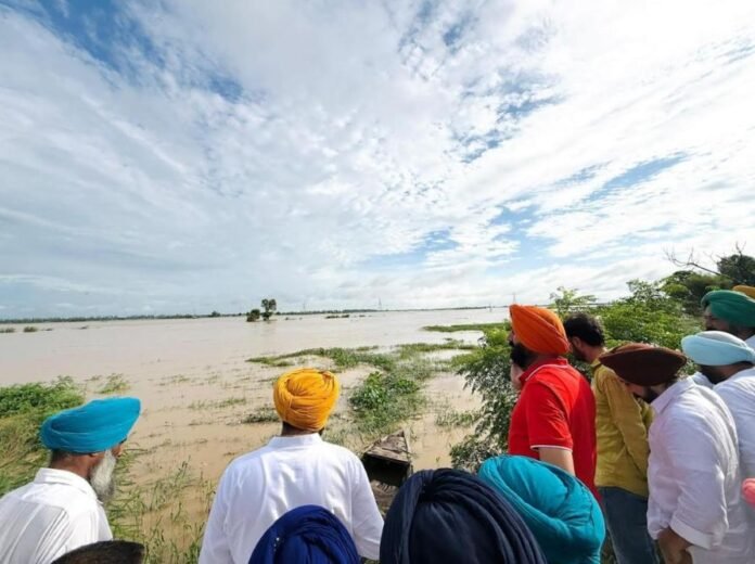 Floods govt