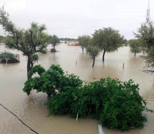 Haryana Floods