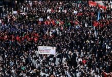 Himachal’s Statewide Anti-Chitta Movement: Why the Success of This Campaign Depends on People, Policy, and Persistence