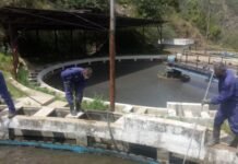 Himachal Pradesh Battles Water Disruptions Amid Tourist Influx and Transmission Line Shutdown