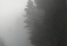 दिल्ली के ‘प्रदूषण गलियारे’ की चपेट में देवभूमि: क्या हिमाचल अपनी पर्यावरणीय विरासत को बचा पाएगा?