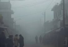 World Bank approves financing to improve clean air in Haryana and Uttar Pradesh