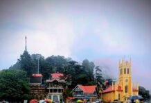 Cold wave tightens grip across Himachal Pradesh, daily life disrupted as temperatures plunge below zero in several regions