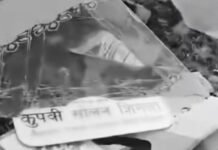 Overcrowded Private Bus, Broken Roads and Missing Healthcare: How Systemic Failures Turned a Routine Journey into a Deadly Tragedy in Himachal