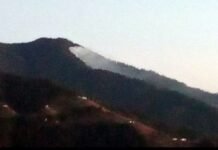 एक सप्ताह से सुलग रहे हैं कमरूघाटी के जंगल, करोड़ों की वन संपदा स्वाह, विभाग की लाचारी समझ से परे