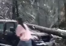 हिमाचल में भारी बर्फ बारी और बारिश का कहर, 563 सड़कें बंद, करीब 4800 ट्रांसफॉर्मर ठप, जनजीवन अस्त-व्यस्त