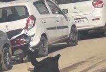 सरकार ने शुरू की जांच, चामियाणा अस्पताल की घटना से हिला शिमला: स्वास्थ्य व्यवस्था पर उठे गंभीर सवाल