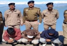 नारकंडा में अंतरराष्ट्रीय ड्रग नेटवर्क का भंडाफोड़: 9.28 किलो अफीम और 12 लाख की नकदी बरामद, तीन नेपाली नागरिक गिरफ्तार