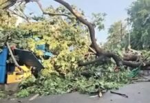 Deadly Storms Sweep Uttar Pradesh, Dozens Killed as Government Orders Swift Relief