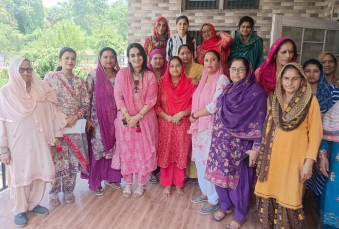 23 hamirpur