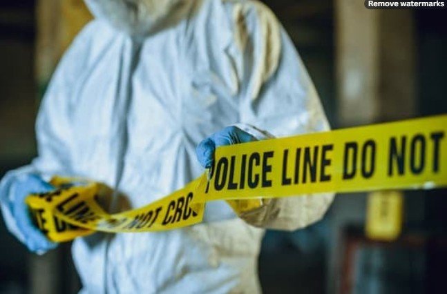 crime