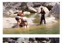 दुःखद हादसा: नेरवा क्षेत्र में खड्ड में डूबने से युवक की मौत, बचाने पहुंचे युवक ने दिखाई बहादुरी