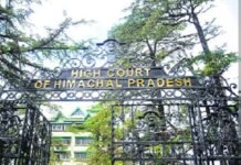 Himachal High Court Orders FIR, SIT and Departmental Action Over Illegal Kasol Rave Parties