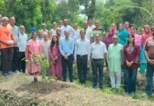 एचपीशिवा परियोजना को मिली नई गति, नंधन क्लस्टर में अमरूद के पौधारोपण का शुभारंभ