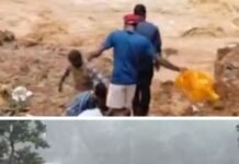 Monsoon Disaster Strikes Wayanad Again: Landslide at Tunnel Project Claims Lives, Rescue Teams Race Against Time