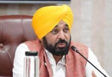 Punjab Cabinet Clears Key Reform Measures, Approves Fee Regulation Bill, Green Initiative and Digital Universities