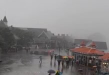 Flash Flood Threat Looms Over Himachal as Heavy Rain Alert Issued for Seven Districts