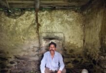 मंडी के रोपड़ू में तेंदुए ने गोशाला का छत्त फाड़ कर मार डाली भेड़ें