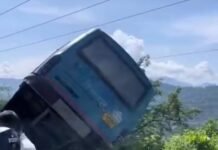 भगेड़-पनौल मार्ग पर बसों की टक्कर, पैरापिट ने टाला बड़ा हादसा