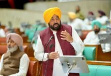 Punjab’s Canal Irrigation Drive Expands: CM Bhagwant Mann Says 14,000 Km of Pipelines Have Helped Bring Canal Water to 80% of Farmland