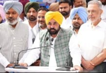 Punjab’s Villages Get a Major Transport Boost: Bhagwant Mann Flags Off 100 Mini Buses, 309 More Coming Next Month